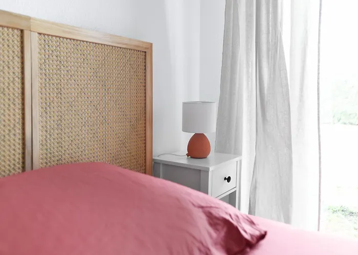 Joli T2 Avec Terrasse Et Parking Toulouse