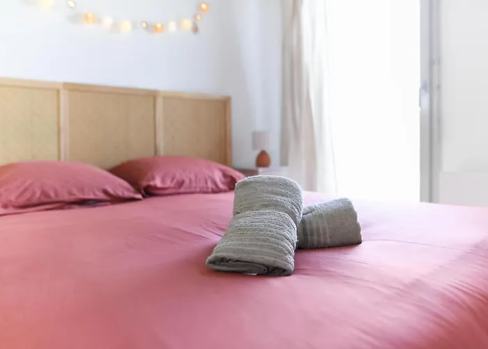 Joli T2 Avec Terrasse Et Parking Toulouse